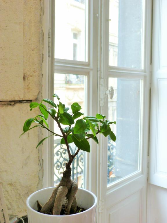 L'Appart D'Oli Et Tiane Бордо Номер фото